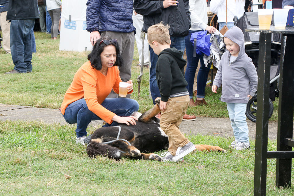 Oyster & Shrimp Festival 2019-9011.JPG